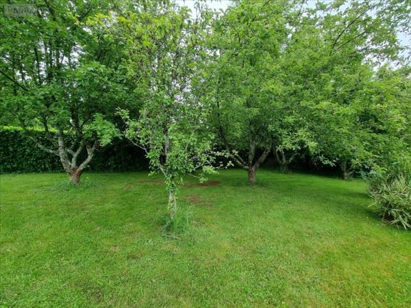 Maison à vendre à Callac dans les Côtes-d'Armor (22160), ref : 29066-1082515