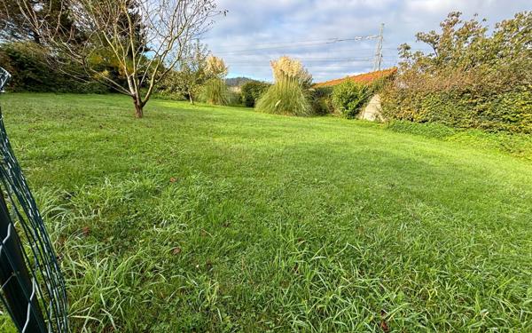 Maison à vendre    5 pièces •  Neufchâtel-Hardelot