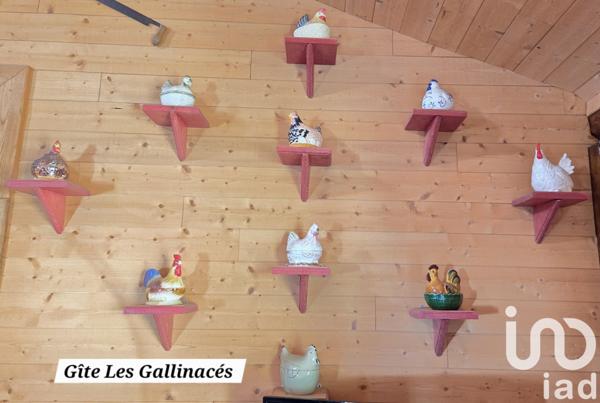 Gîte 20 pièces de 344 m² à Docelles (88460)