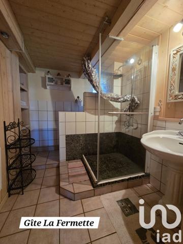 Gîte 20 pièces de 344 m² à Docelles (88460)