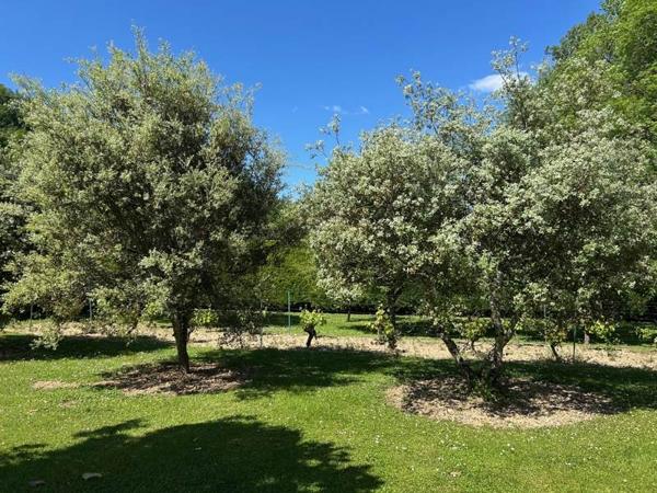 Maison à vendre |  Lissac-et-Mouret |  6 pièces | 185 m²