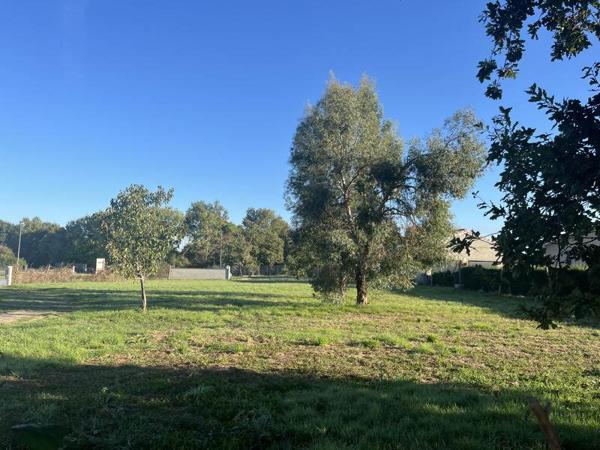 Terrain à vendre |  Bressols |  768 m²