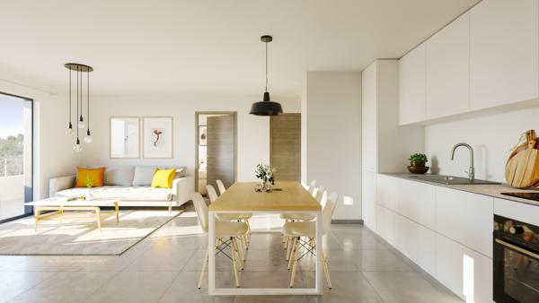 VENZOLASCA : appartement F2 à vendre