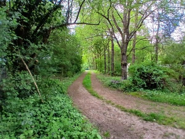 À vendre - Maison, 5 pièces située à Le Lude (72800)