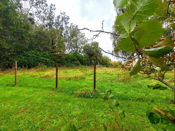 Terrain constructible