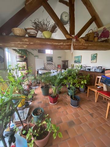 Longère avec grand terrain emprise au sol restante.