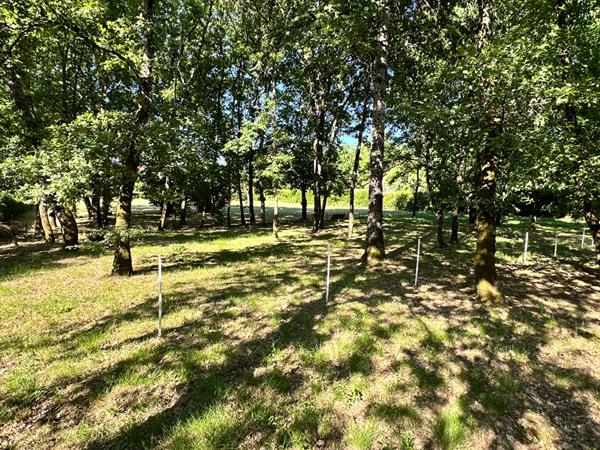 Terrain à bâtir a vendre - Quartier saint martial proche centre-ville montauban 82