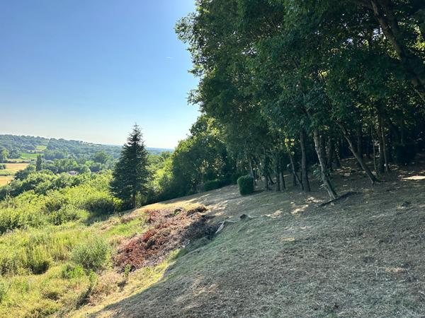 Terrain à bâtir a vendre - Quartier saint martial proche centre-ville montauban 82