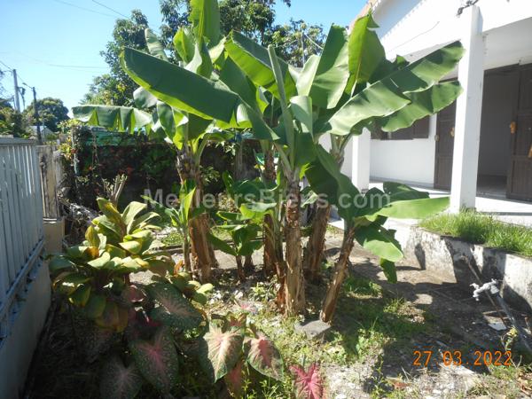 SAINT ANDRE (Petit Bazar). Maison F5/6 de 140 m2 habitables sur terrain de 350 m2 A RENOVER