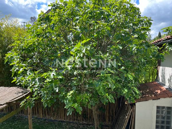 Maison Tassin La Demi Lune 6 pièce(s) 147 m2