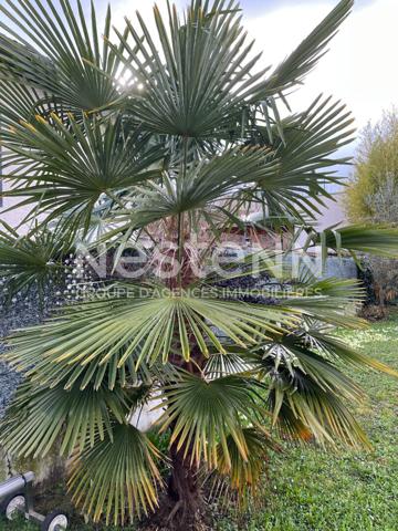 Maison Tassin La Demi Lune 6 pièce(s) 147 m2