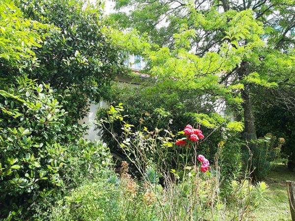 HABITER OU INVESTIR - ENSEMBLE IMMOBILIER A RENOVER