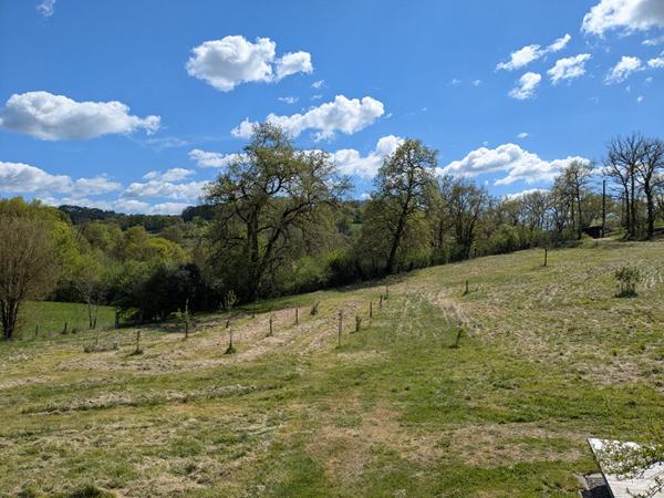 Maison en bois bioclimatique sur grand terrain Camburat