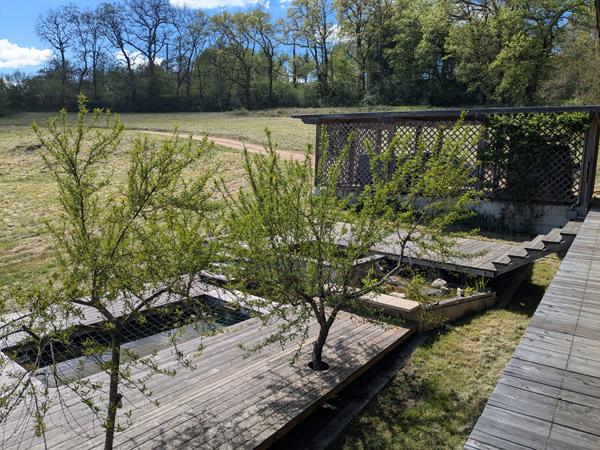 Maison en bois bioclimatique sur grand terrain Camburat