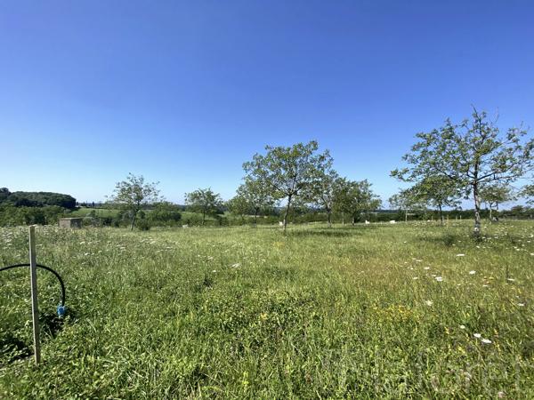 Achat terrain Coligny - 853 m² - 50 000 €