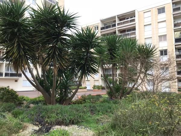 T3 traversant lumineux-balcon sud-parking-cave-DPE B-Rés. Parc à ballons