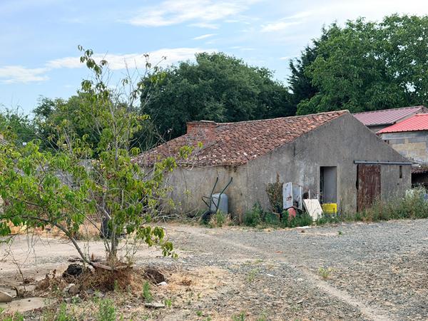 MAISON À RÉINVENTER AU COEUR DE LA CAMPAGNE DE NUEIL-SUR-LAYON