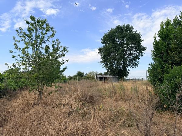 MAISON À RÉINVENTER AU COEUR DE LA CAMPAGNE DE NUEIL-SUR-LAYON