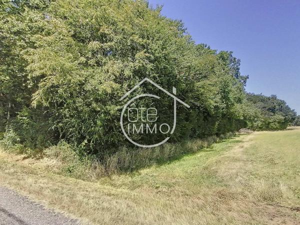 Savignac de Duras : Parcelles boisées : non constructible 1 HA 98