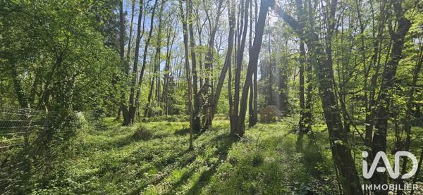 Terrain à vendre 4 155 m² Verdelot