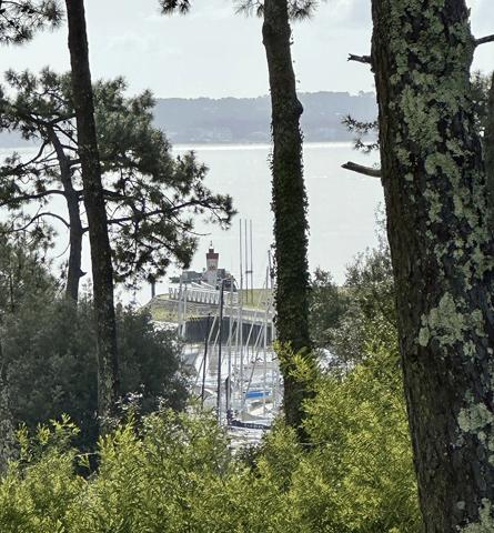 Villa Cap-Ferret, Port de la Vigne 240 m2 habitable sur très beau terrain de 1321 m2
