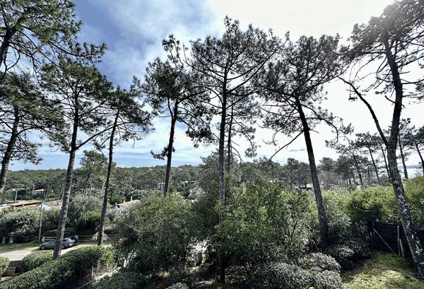 Villa Cap-Ferret, Port de la Vigne 240 m2 habitable sur très beau terrain de 1321 m2