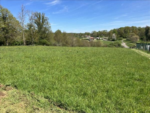 Terrain à vendre |  Saillat-sur-Vienne |  2355 m²