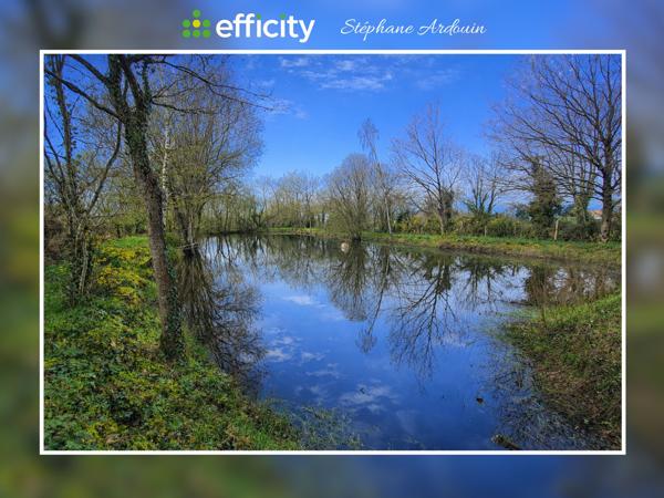 Terrain - 19765 m² Exclusivité efficity