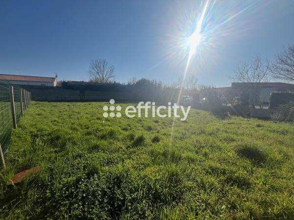 Terrain
        
        - 687 m² 112 300 € *