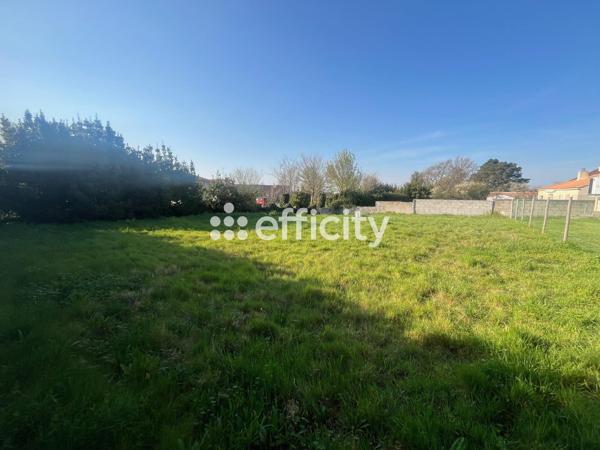 Terrain
        
        - 687 m² 112 300 € *