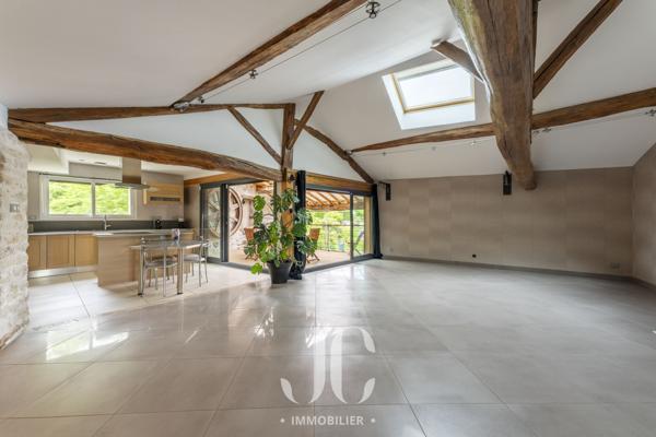 LOFT AVEC TERRASSE ET GARAGES