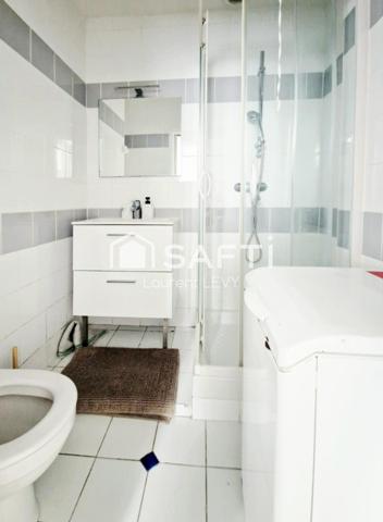 App 2 pièces + 2 caves, habitation & investisseur