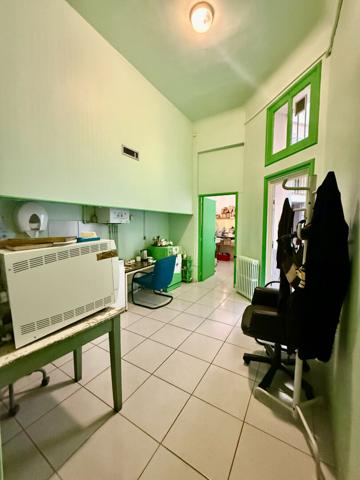 local professionnel de 131.57 m² avec cave en sous sol de 26.36 m²