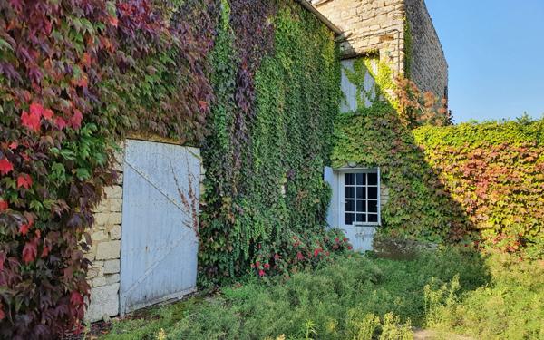 Maison à vendre    6 pièces •  Courçon