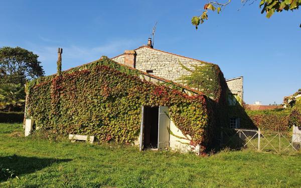 Maison à vendre    6 pièces •  Courçon