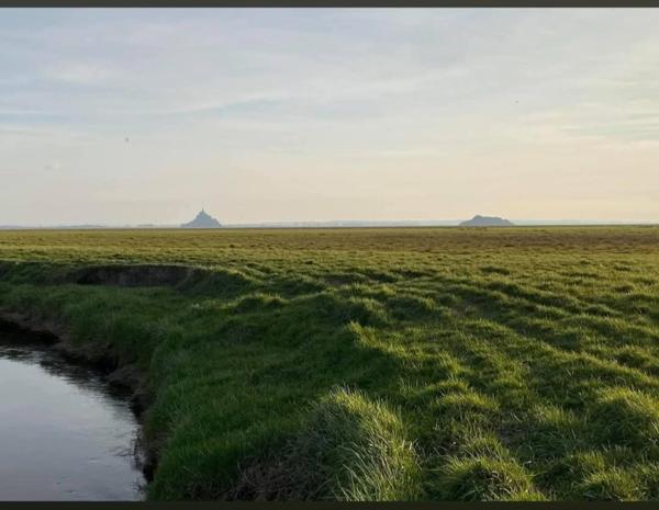 Local Commercial à GENETS, 50530 - 5 pièces 124m²