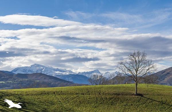 Maison à vendre |  Escoubès-Pouts |  4 pièces | 134 m²