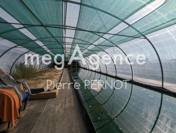 Maison à TECOU, 81600 - 9 pièces 460m²