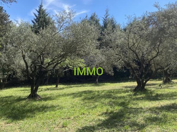 Vente / Maison de plain-pied à Uzès (30700)