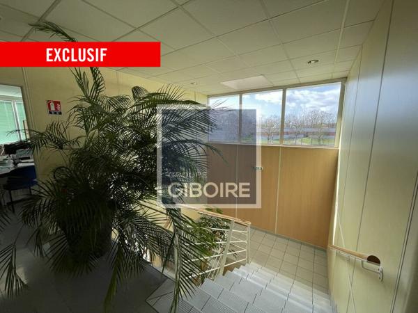 Local d'activites 2781 m² à vendre BRUZ (réf : 35.6837)