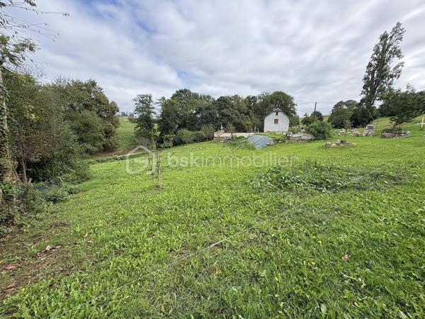 Venez découvrir ce beau terrain constructible de 3 042m² dans le joli village de Cieutat à 7 min de l'autoroute de Tournay, et 7 min de Bagnères de Bigorre

Terrain constructible, non viabilisé, tous les réseaux sont en bordures de terrain, bornage effectué, exposition sud ouest, analyse de sol en cours.
Ce lieu vous séduira par sa tranquillité et sa vue sur la nature, il se situe dans une petite rue du village non passante

Proche de toutes commodités avec marché traditionnel le jeudi, école primaire, arrêt de bus, de nombreuses associations tel que : Pétanque, sportive, comité des jeunes, comité de jumelage, les petits producteurs du marché, groupement pastoral, séniors et compagnie, mission Rock, ....
Ce charmant village se trouve à proximité de l'Abbaye de L'Escaladieu et du Château de Mauvezin, tous comme les stations de montagne avec Payolle et La Mongie

Venez faire construire votre maison dans ce village actif, et tourner vers l'avenir....
Surface : 3 042m²
Prix du bien : 47 000 €

A venir voir sans plus tarder !