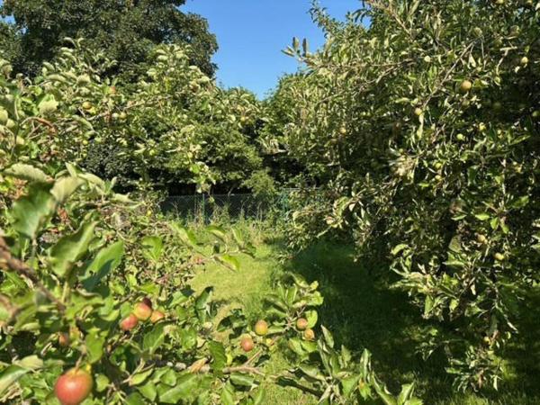 maison individuelle avec beau terrain et petite dépendance