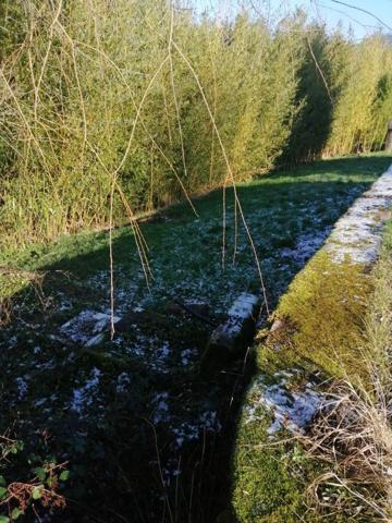 Vente Terrain 613 m2 à Taintrux