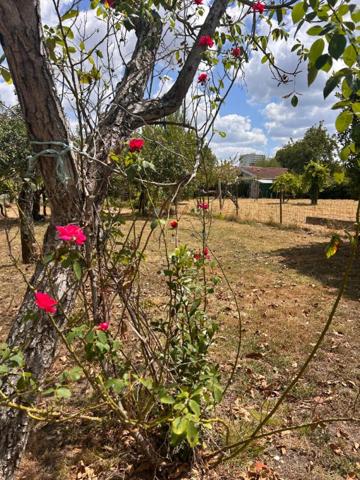 Rare sur Lormont avec ce grand terrain constructible de 830m2 au calme dans un quartier résidentiel