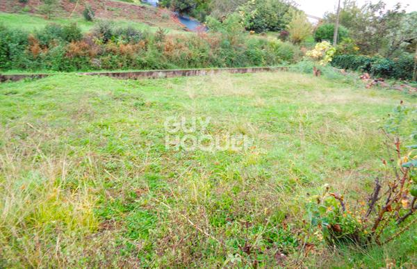 Maison Le Mas d'Agenais 100 m2 / 3 chambres /sous-sol et jardin