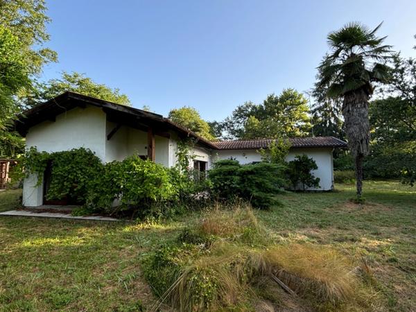 Villa dans parc arboré