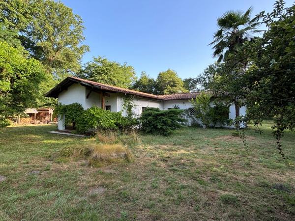 Villa dans parc arboré