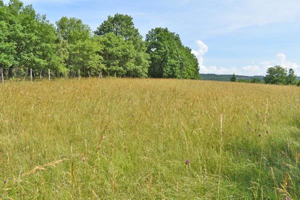 Terrain  constructible 5580 m2 La Cassagne
