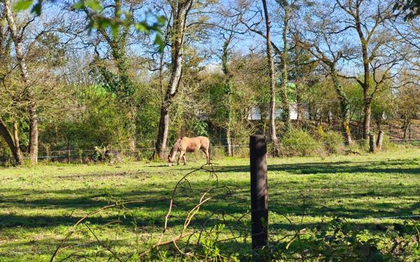 Maison à vendre    5 pièces •  Carquefou