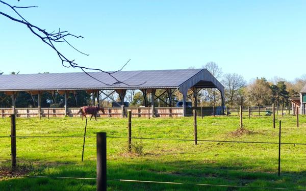 Maison à vendre    5 pièces •  Carquefou